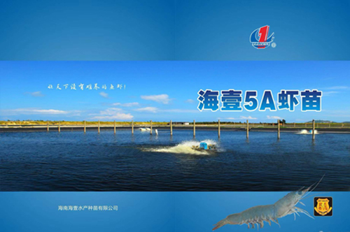 1641882050897815.jpg 海南海壹5A企業(yè)