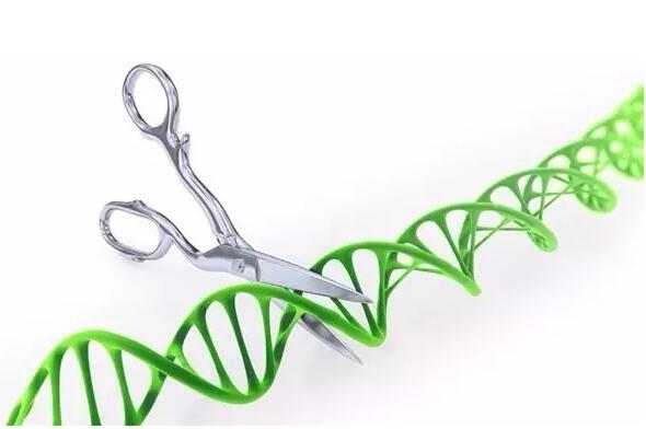 高通量的單細(xì)胞RNA測(cè)序新方法:sNuc-Seq