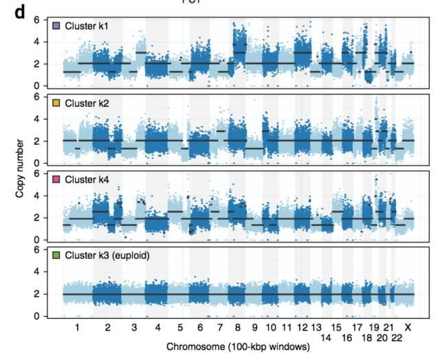 不使用微流控如何實(shí)現(xiàn)高通量測序單細(xì)胞基因組？
